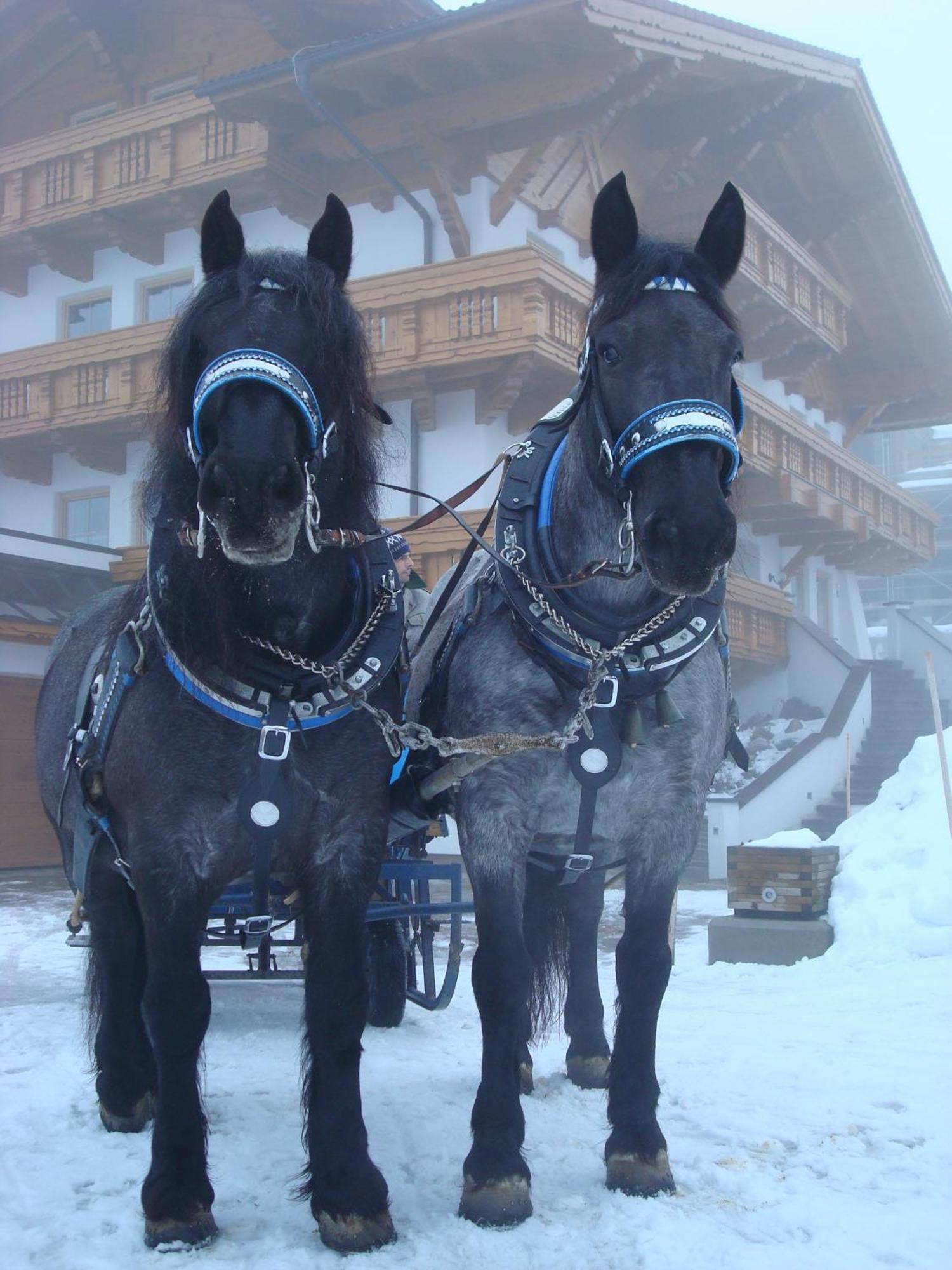 Landhaus Steiner Schladming Exterior photo